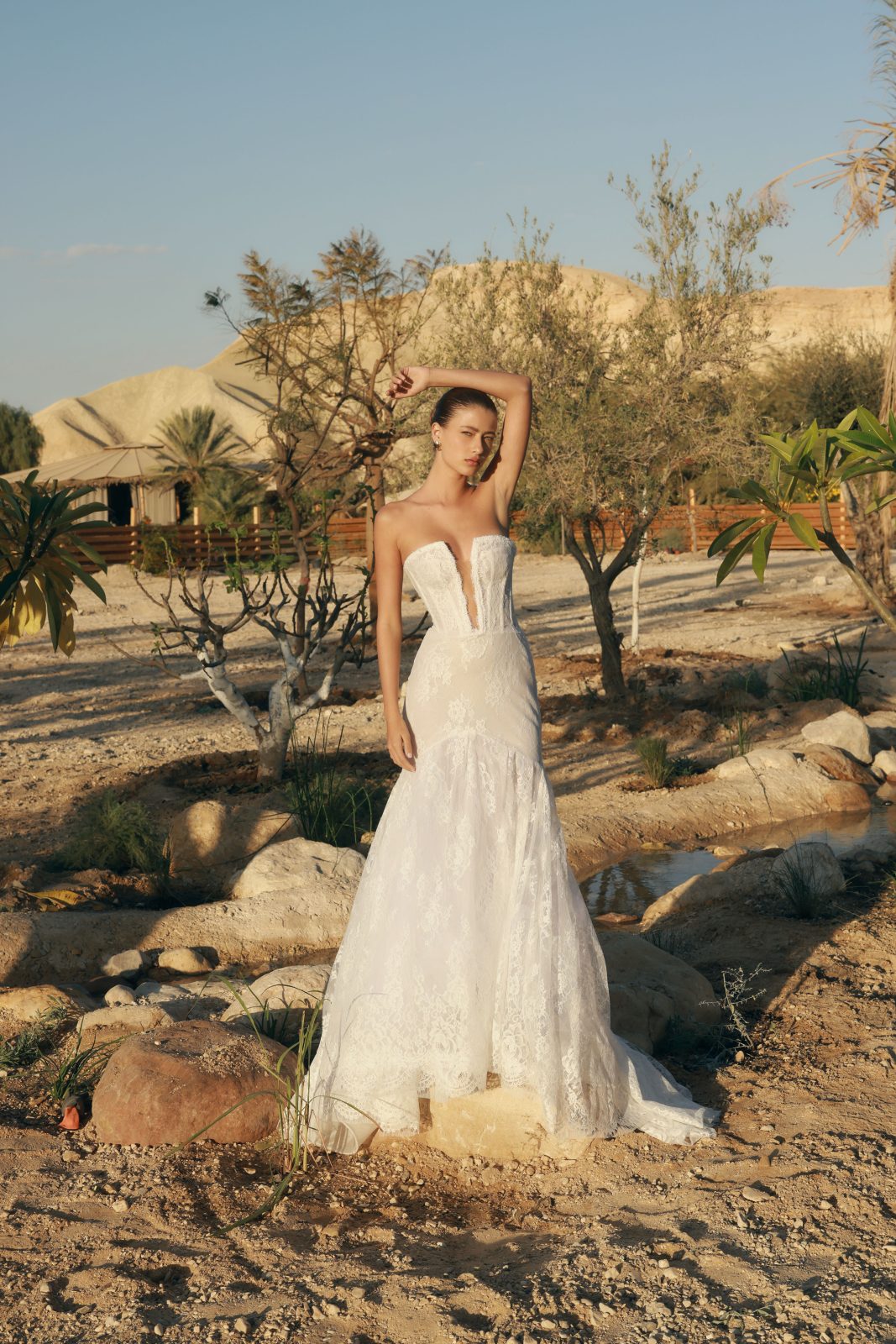 עותק של DELT1193 copy